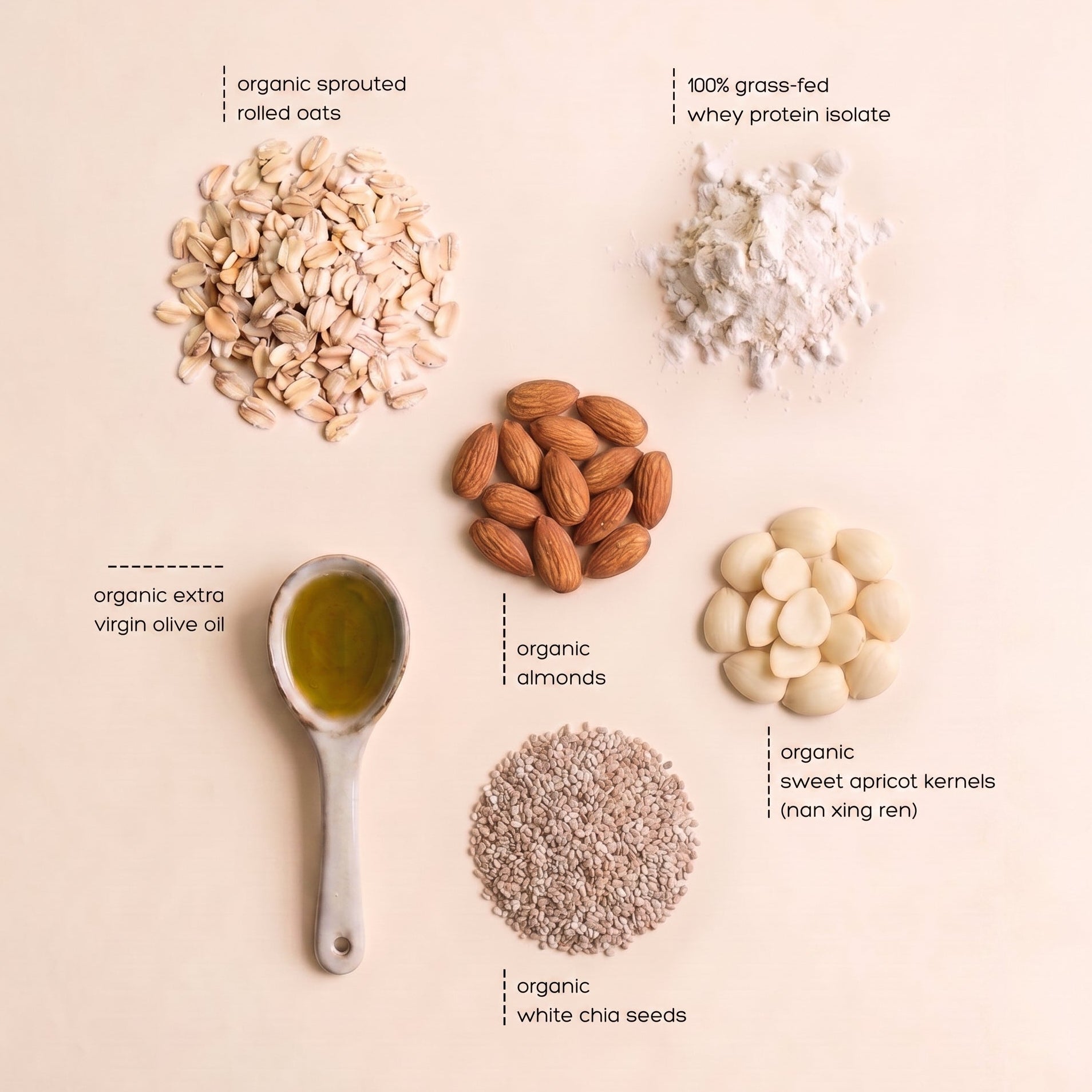 Nourish Bái - Creamy Almond Meal Shake (Case of 12)